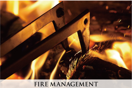 FIRE MANAGEMENT